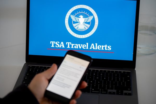 Airline CEOs Demand Congress End DHS Shutdown as Spring Travel Chaos Mounts