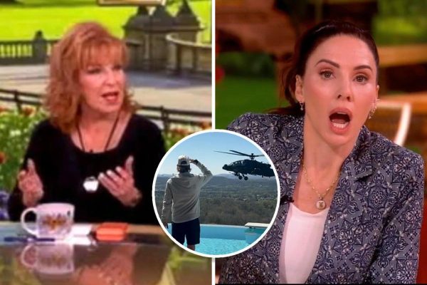 Army Launches Review After Apache Helicopters Flyby at Kid Rock Estate