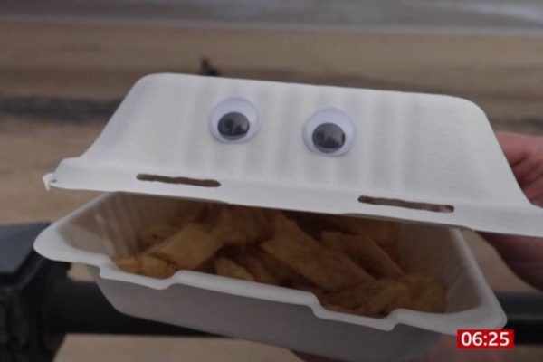 Googly Eyes and Gull Deterrence: BBC Breakfast Segment Goes Viral