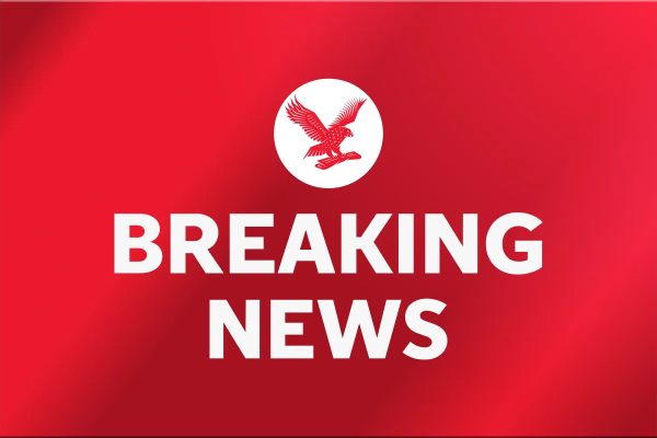 Two Men Released on Bail Following Golders Green Ambulance Arson