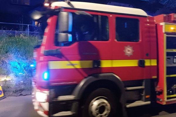 Four Dogs Perish in Accidental Kennel Fire in Devon