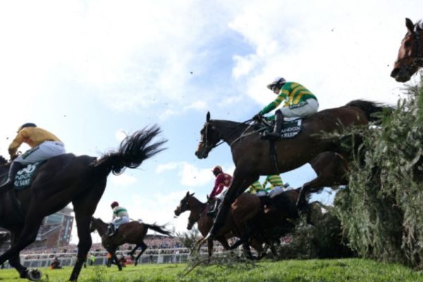 Grand National Fallout: Mr Vango Recovering as Tragedy Sparks New Welfare Debate