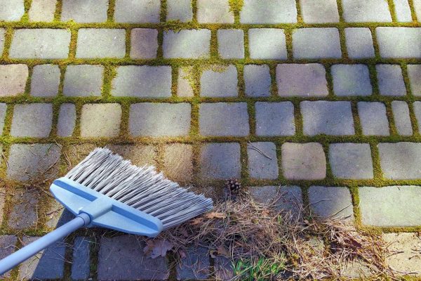 Homeowners Find Inexpensive Solution to Seasonal Moss Growth