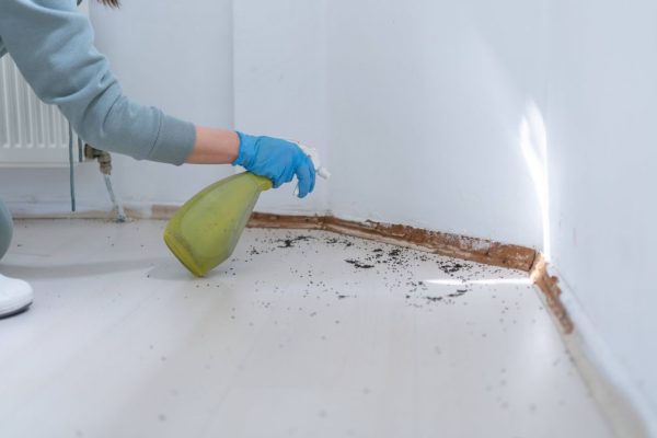 Homeowners Use Natural Remedies to Combat Spring Pest Invasions