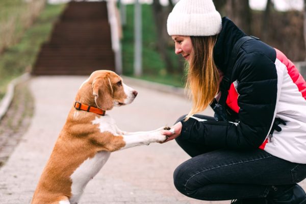 Mastering the ‘Three-Second Rule’: Expert Advice on Dog Training