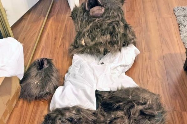 ‘Operation Bear Claw’: Trio Sentenced in Elaborate Fake Bear Attack Insurance Fraud