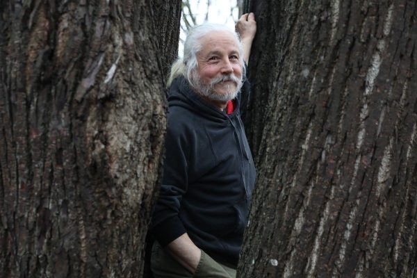 Ottawa repurposes trees felled by LRT construction for library furniture