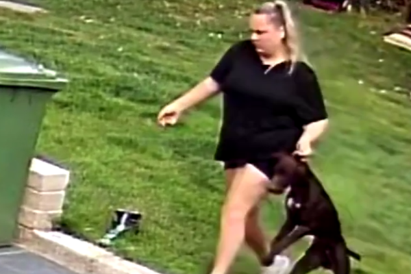 Pet Sitters Banned After Caught on Camera Abusing Animals