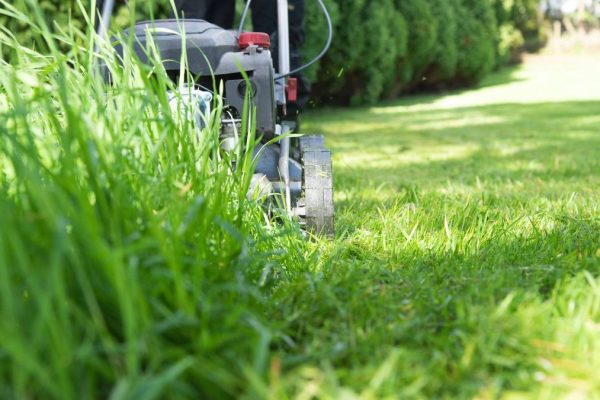 Professional Techniques for Pristine Lawn Edging This Spring
