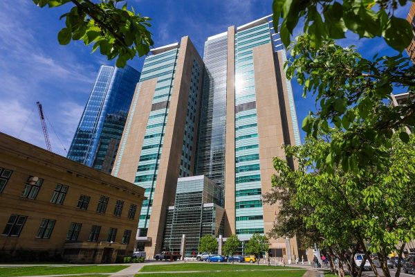 Prosecutors Seek 10-Year Sentence for Calgary Serial Rabbit Killer