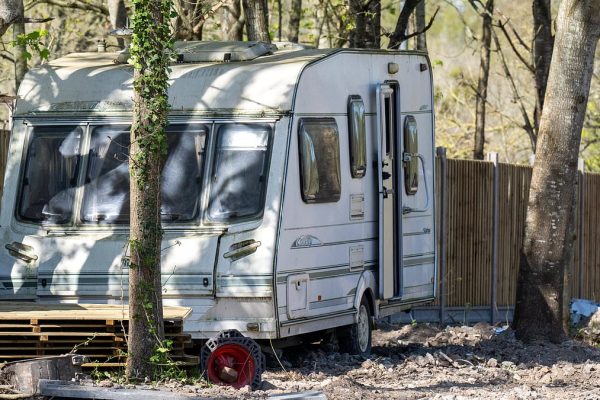 Surrey Residents Call for Action Following Unauthorized Woodland Clearance