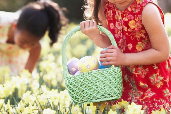 Three Dead After Tree Topples at German Easter Egg Hunt