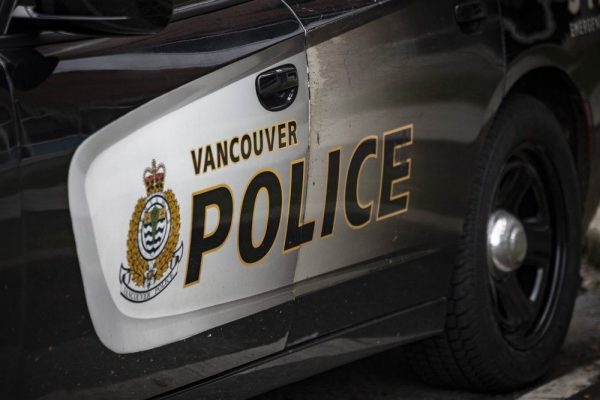 Vancouver Man Charged After Alleged Stroller Attack and Phone Theft
