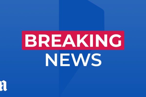 Woman, 70s, Dies in Fatal Dog Attack in Wolverhampton; Man Arrested