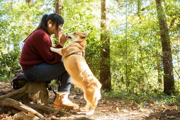 Expert Warns Common Human Behaviors Trigger Accidental Dog Bites