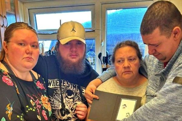 Family Outraged After Missing Cat Euthanized Hours After Rescue