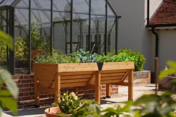 Home Gardening Gets a Boost as Raised Planters Ease Physical Strain