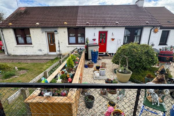 Neighbour Dispute Over Garden Planter Escalates to Criminal Conviction