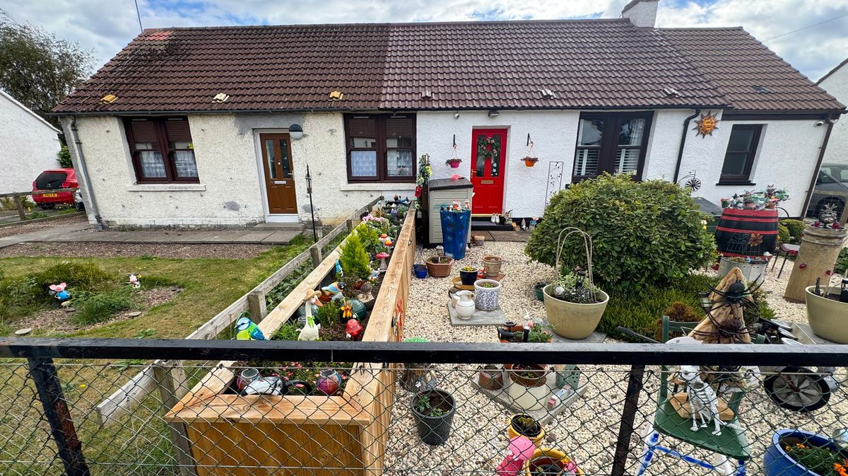 Neighbour Dispute Over Garden Planter Escalates to Criminal Conviction