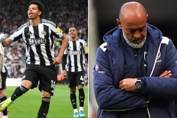 Newcastle Pushes West Ham to Brink of Relegation in 3-1 Victory