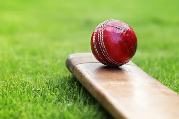 Weather Impacts North-West Cricket League as Coastal Regions Earn Environmental Accolades